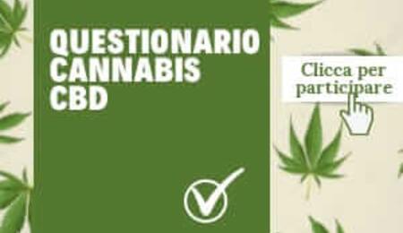 Nasce l’Osservatorio Cannabis CBD con il primo sondaggio su consumo e coltivazione di cannabis light in Italia