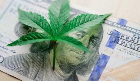 "Green Wednesday" Cannabis Sales Pass $9 Million