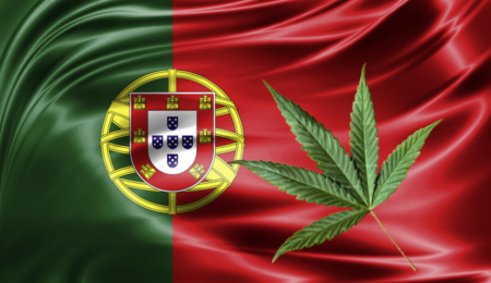 Portogallo-bandiera-erba-medica-terapia