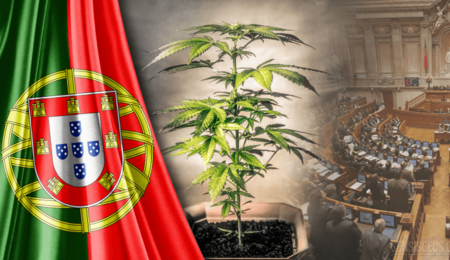 Portogallo e Marijuana