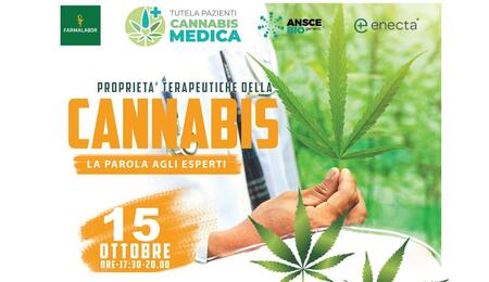 Cannabis terapeutica: parola agli esperti nella convention di Lecce