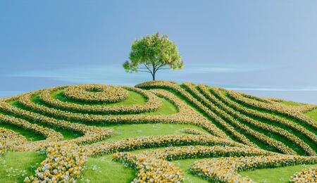 ecologia, pianeta, pulire, bonifica