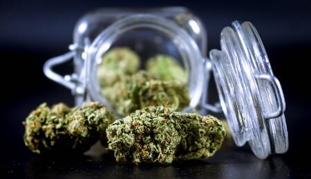 ¿Cómo incorporar y cosechar THCA?