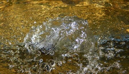 Discover how reverse osmosis works, its benefits, and how it can enhance your plant care routine. A must-read for beginners seeking cleaner water solutions.