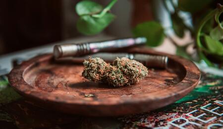 cogollo de cannabis premium