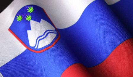 Slovenia flag, referendum