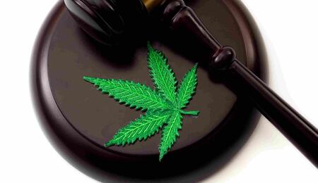 Stash coffeeshop onbestraft