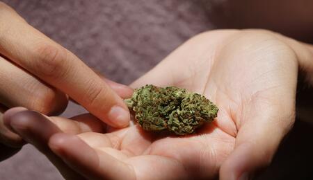 What makes synthetic cannabinoids different from natural cannabis? Explore the origins, effect, health risks, and how they compare to semi-synthetic compounds. 