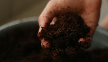 Explore Jeff Lowenfels’ book Teaming With Nutrients to learn how organic soil biology and plant chemistry optimize nutrient absorption for organic growers. 