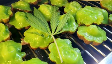 traditional thai pandan coconut rice pancakes with weed.