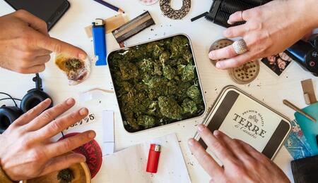 Discover how the “diet weed” cannabinoid THCV suppresses appetite and aids weight loss. New 2025 human clinical trials show results for metabolic health.