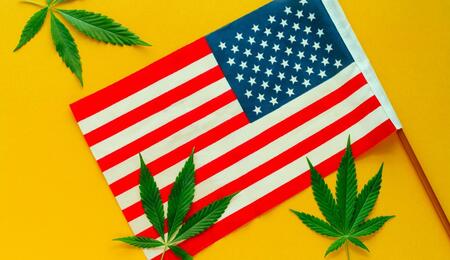The american flag with some marijuana. 