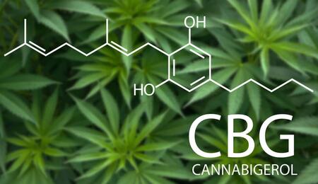 CBG The Mother Cannabinoid