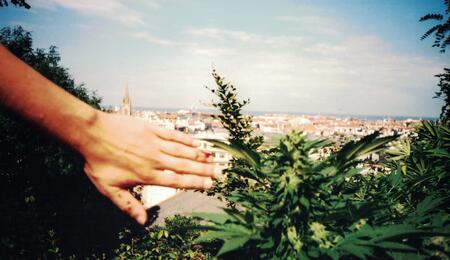 The origins of seed banks in Spain