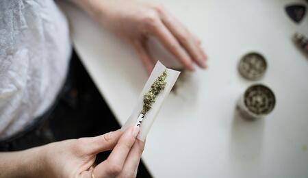 Giappone, la cannabis sfida la legge