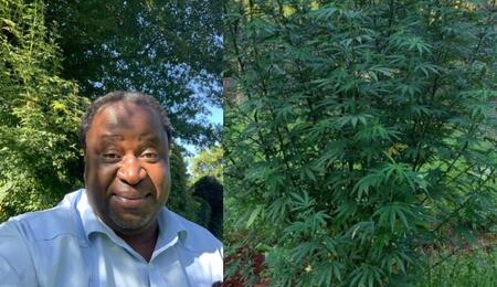 Tito Mboweni, Sudafrica e cannabis, il Ministro ha postato le proprie piante di cannabis su Twitter
