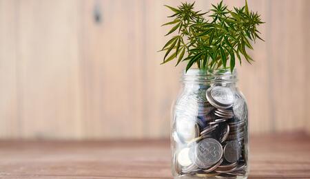 Investire in cannabis è davvero un'opportunità?