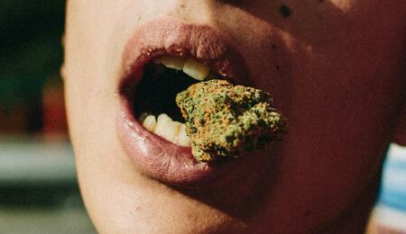 ¿THC o CBD para comer mejor?