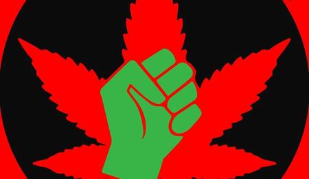 R.A.P-Cannabis-Fest-Un-evento-activista-antirrepresivo-en-Móstoles