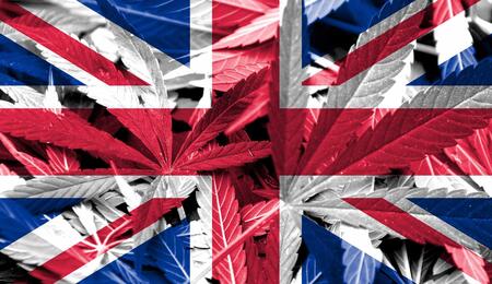 UK cannabis deal sets new record and raises hopes that legalisation could be a real possibility