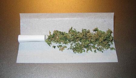 unrolled joint with the dried ground flower ready to toll on the paper. 