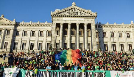 Uruguay reglamentó ley de mercado de marihuana