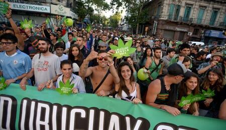 Uruguay: casi 50.000 registros de cannabis legal