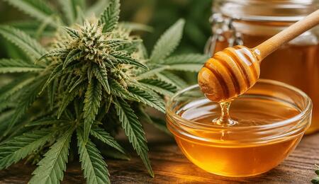 Close-up of cannabis flower next to a glass bowl of golden honey with a wooden dipper dripping honey in warm natural light