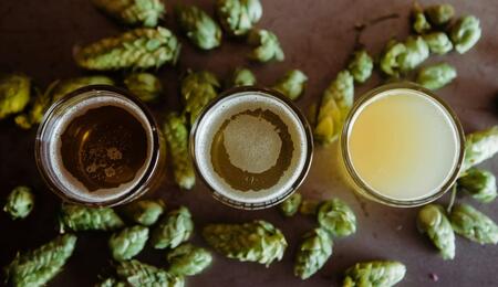 Three filled beer glasses on a gray surface surrounded by hops. 