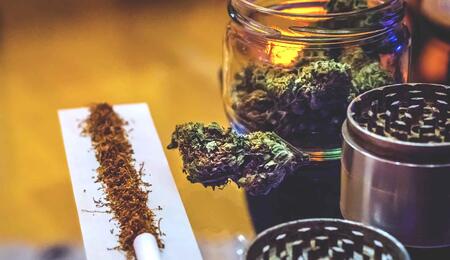 Livraison gratuite de graines de cannabis