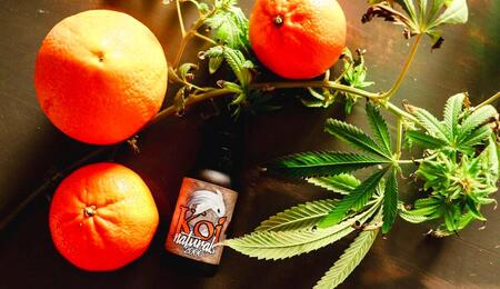 Cannabis leaves and buds arranged with fresh oranges and a bottle of terpene extract, illustrating citrus terpenes in cannabis