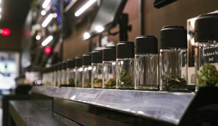 Discover the top 10 cannabis strains for 2026. From the THC-heavy Think Tank to flavor-packed Blueberry Caviar, stay ahead of the hottest US weed trends. 