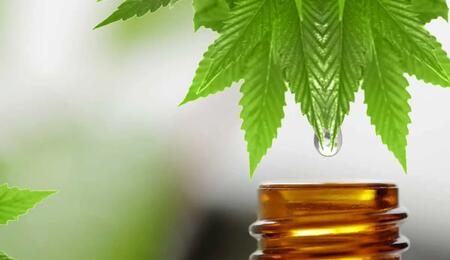 Think CBD cures everything or works best without THC? Discover five common misconceptions about CBD and what current cannabis research actually says in 2026.