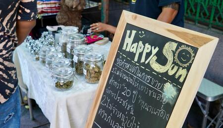 cannabis boom Thailand