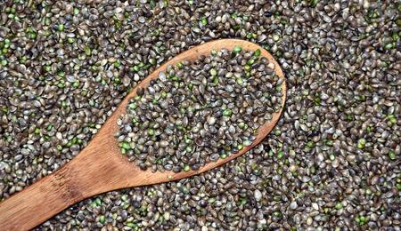 New federal rules on cannabis/hemp seeds may disrupt the US market. Learn how growers, medical users, and hobbyists are affected and what the future may hold. 