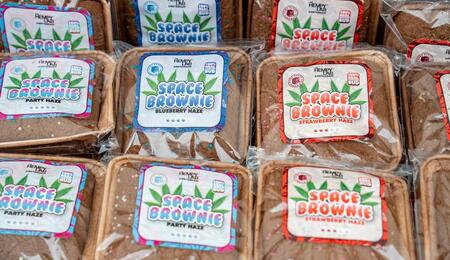 Explore the origins, genetics, and evolution of Haze cannabis—from 1960s tropical sativas to iconic modern hybrids like Neville’s Haze and Super Silver Haze.