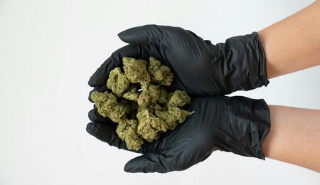 State audits reveal an Arizona cannabis testing lab continued violating regulatory rules after an $88.5K fine, prompting boycotts from certain retailers.