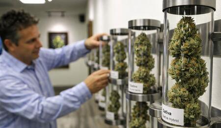 Michigan’s cannabis market is entering its first contraction. Learn why licenses are declining, how price compression hit profits, and changes since 2024.