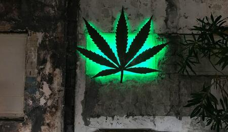 Why does illegal cannabis trade persist after legalization?