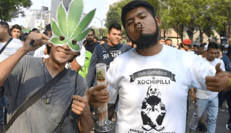 Los cogollos de Xochipilli, nuevo club de cannabis en México