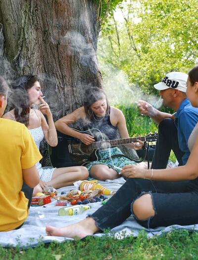 grupo de amigos en un picnic