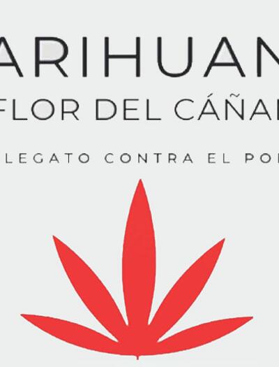 "Marijuana, il fiore della canapa": la lezione di Daniel Vidart su potere, stigma e proibizionismo