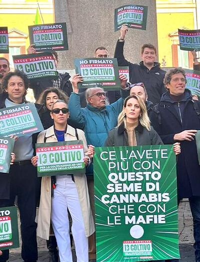 Cannabis: il Senato apre al DDL "Io Coltivo". È l’inizio di una nuova era?