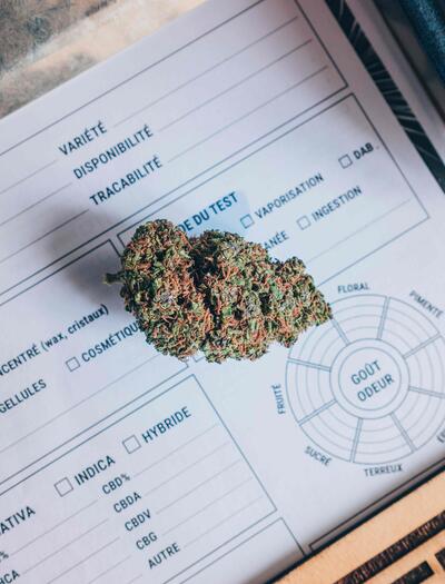 the DEA have ordered the immediate reclassification of cannabis from Schedule I to Schedule III of the Controlled Substances Act.