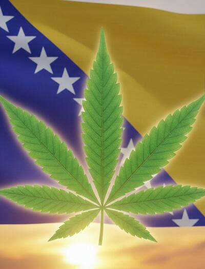 Bosna a Hercegovina: léčebné konopí už není tabu