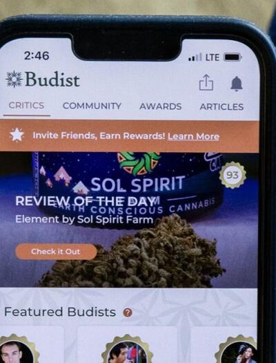 Budist: platforma pro recenze konopí