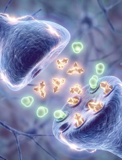 ilustración de la sinopsis neuronal 