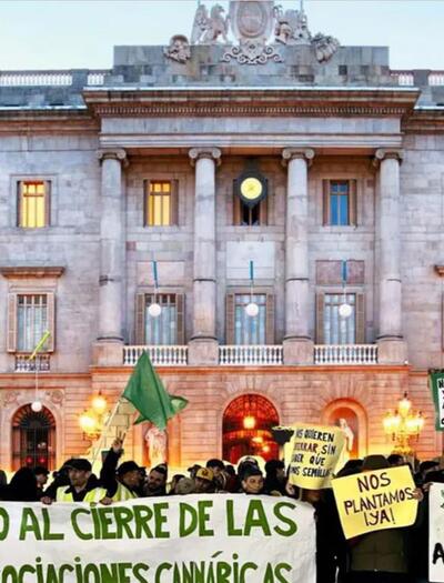 Barcelone : la mairie ordonne la fermeture de 30 cannabis clubs