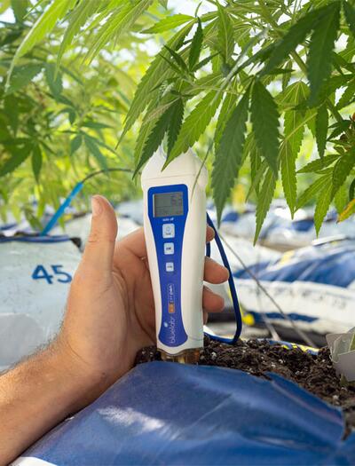 Wie effizient ist dein Grow? Lerne, wie du den Cannabis-Ertrag pro Pflanze, pro Quadtrameter und kWh exakt berechnest.