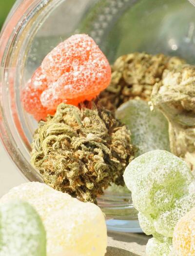 Cannabis edibles pose unique risks due to delayed onset and high THC concentrations. Read our analysis on mental health, potency, and safe practise